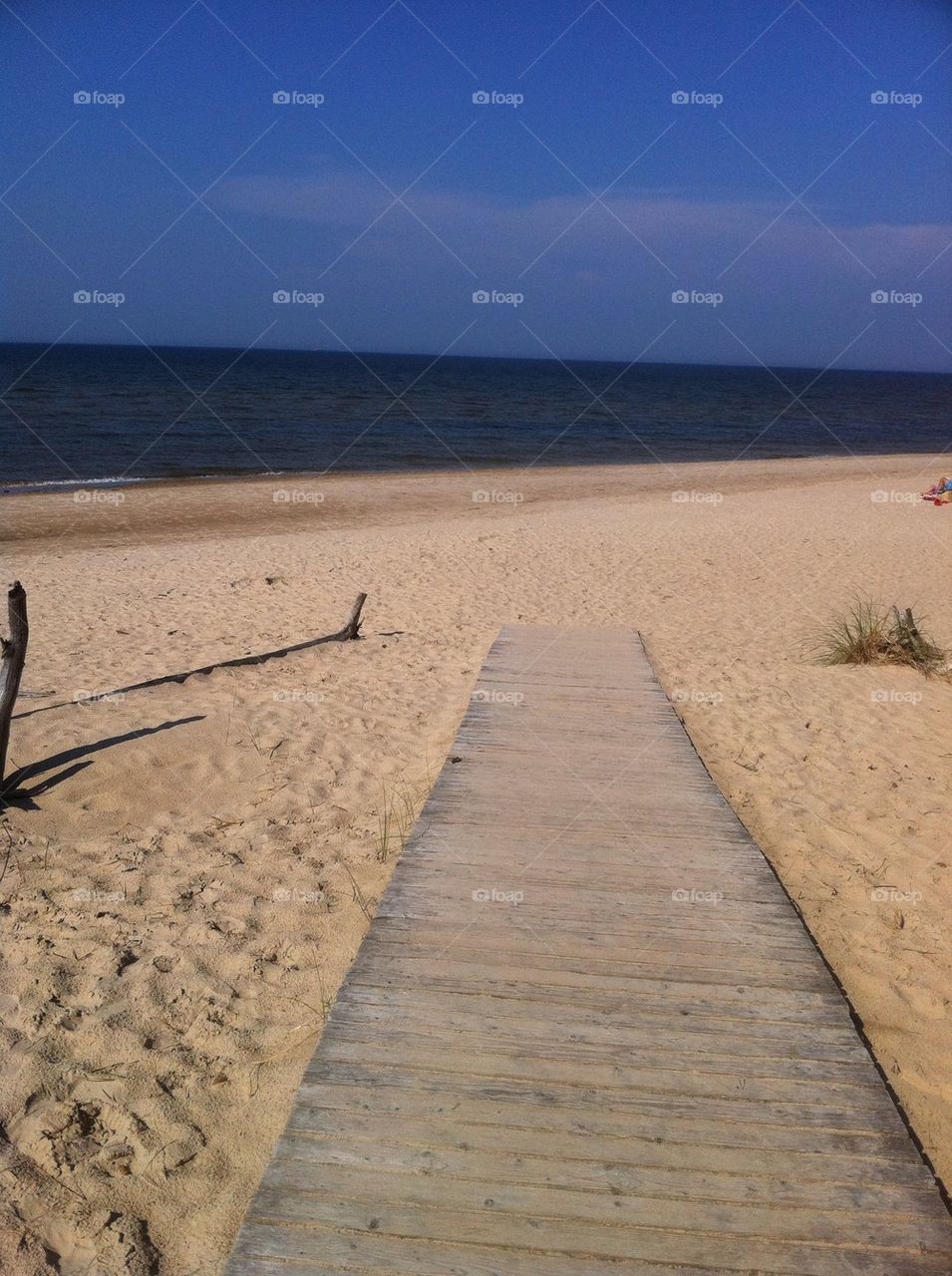 landscape beach sky background by twister