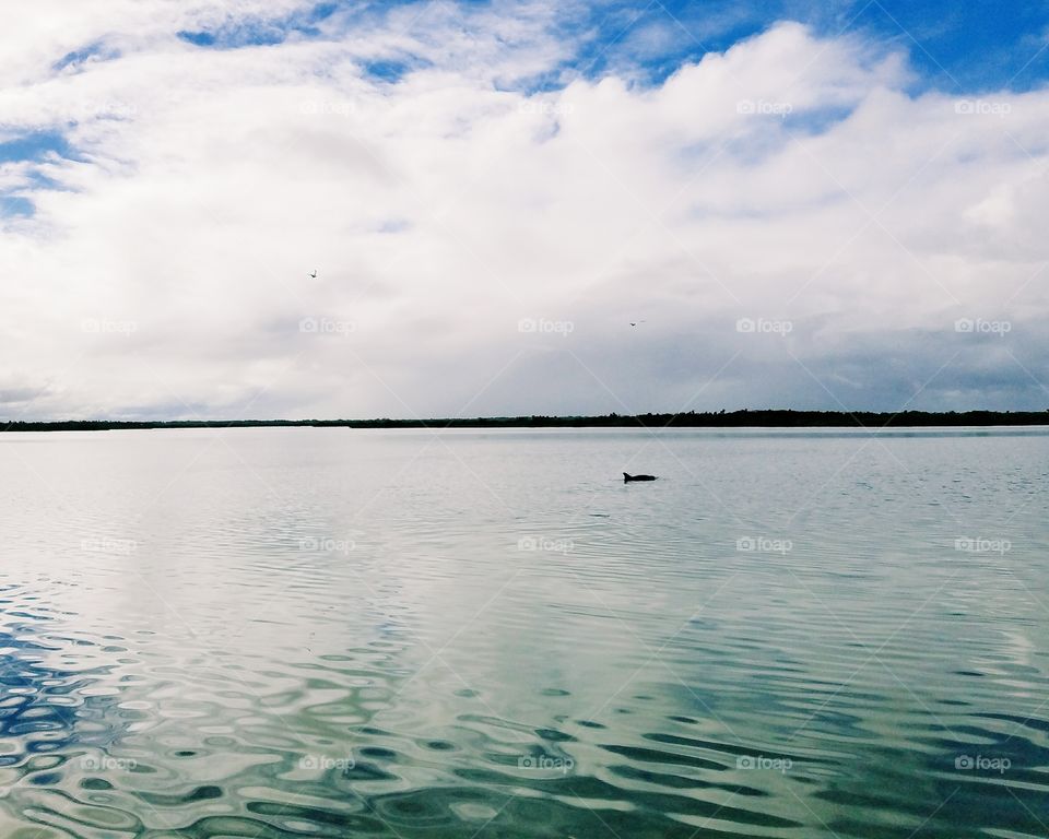 island camping views