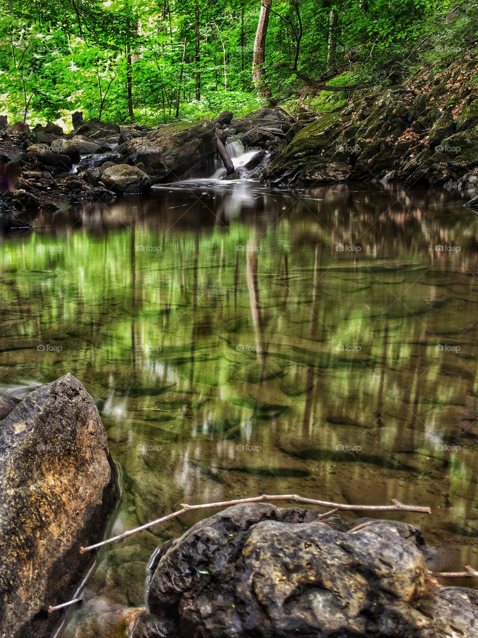 Tranquil stream . Wanted to capture a beautiful local stream 