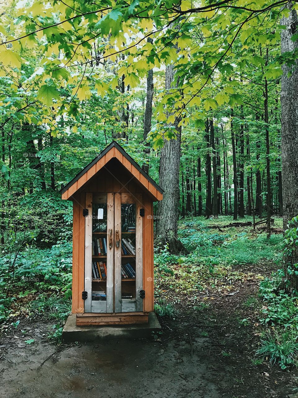 Little Free Library in the Woods
