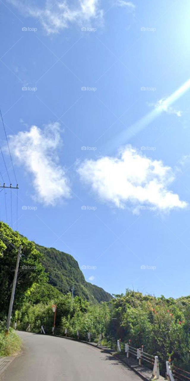 Sen mây ơi chạy theo tia sáng.