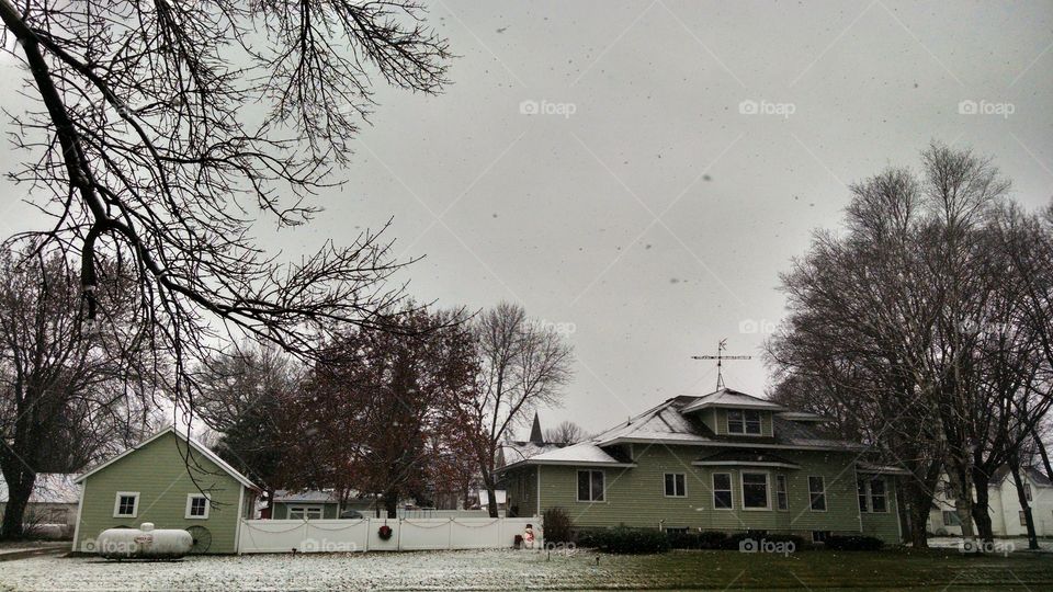 Home, House, No Person, Tree, Family