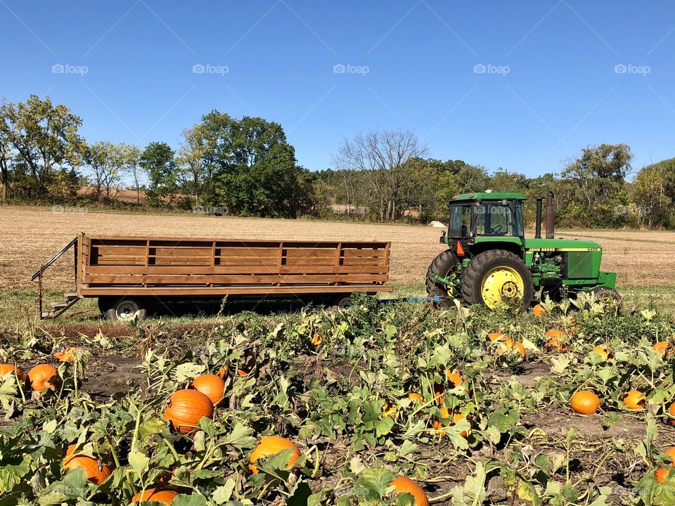 Pumpkin Patch Tractor