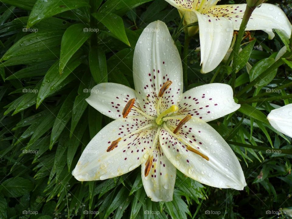 The simple things of life can bring joy to the heart.