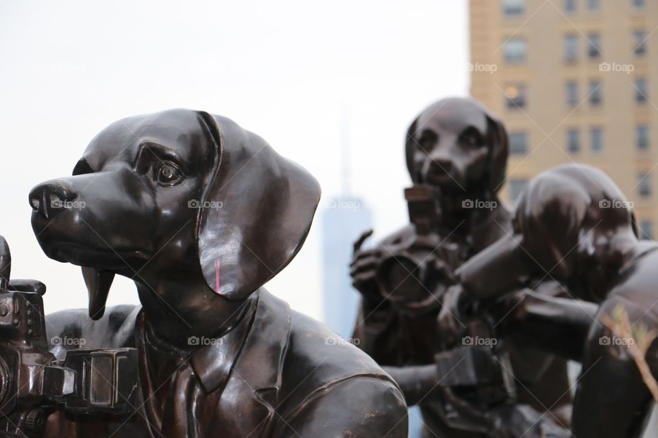 Dog Paparazzi Statue in New York City
 