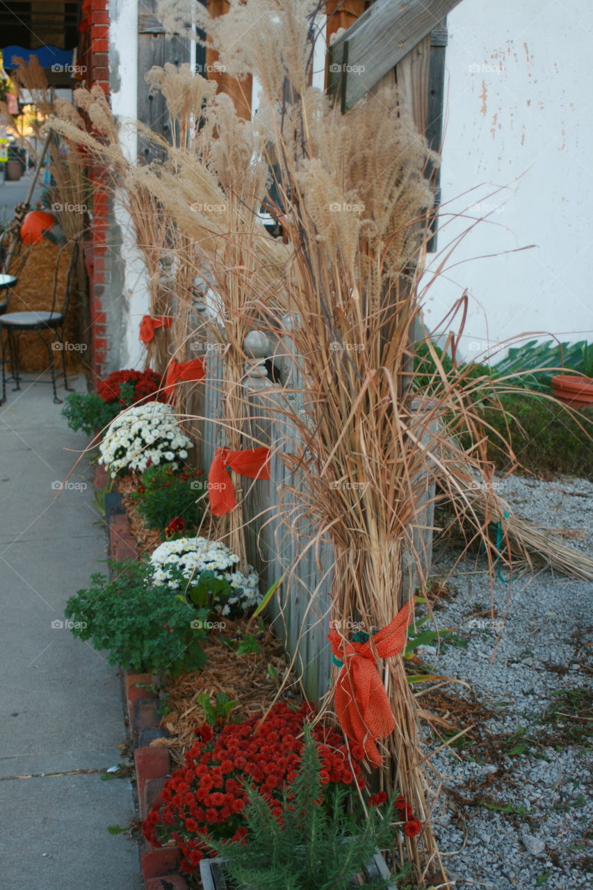 Fall Fence