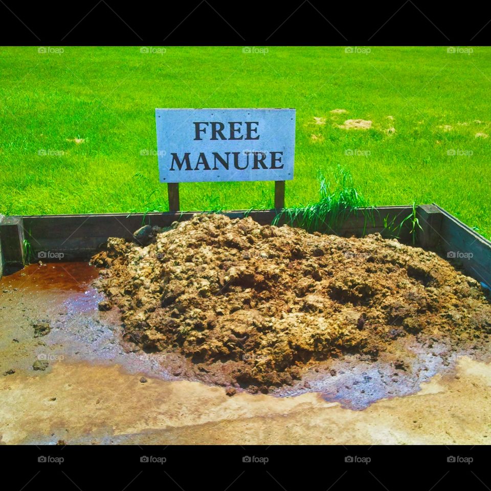 FREE MANURE!