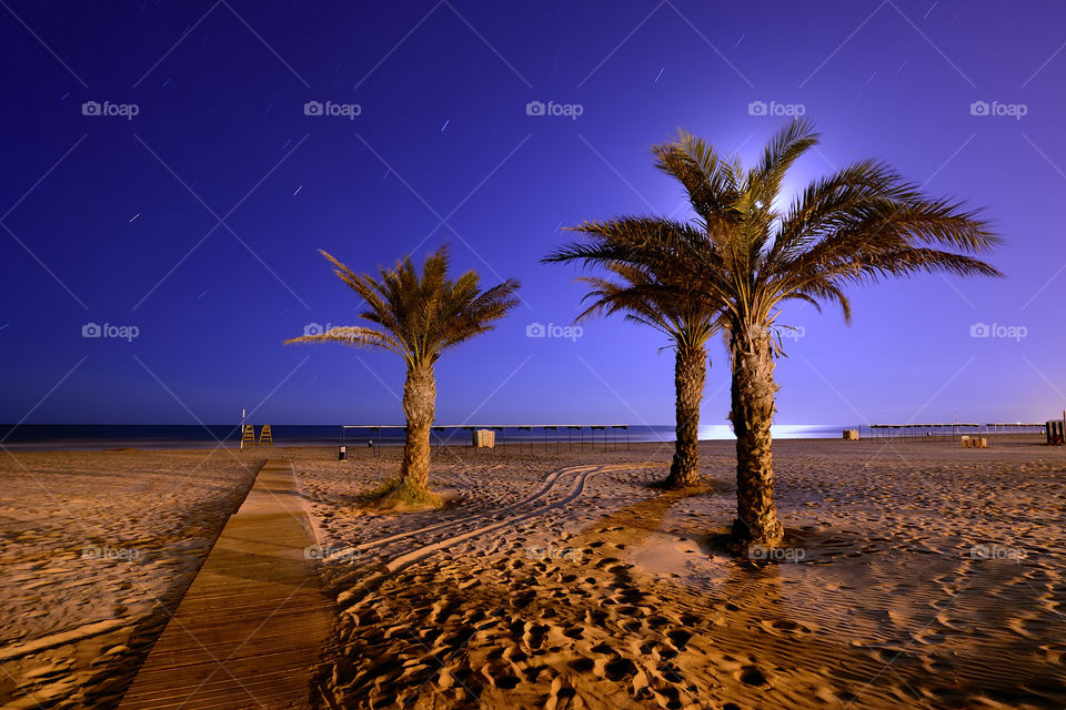 Palm trees at sandy beach