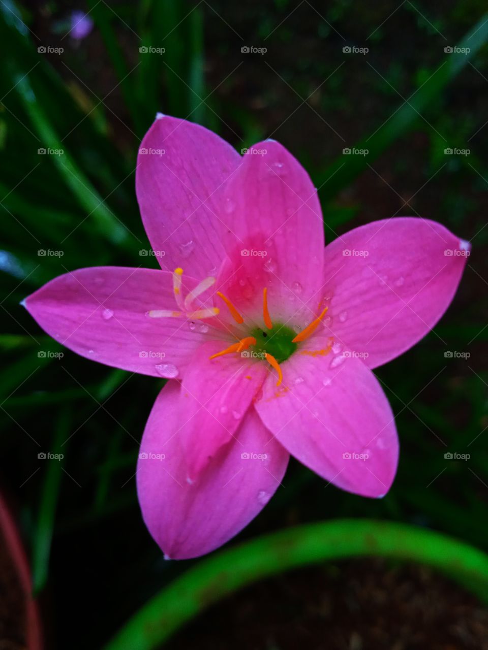 God's creation is so beautiful