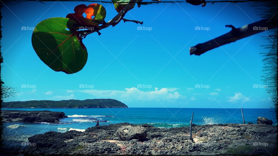 treasure beach jamaica