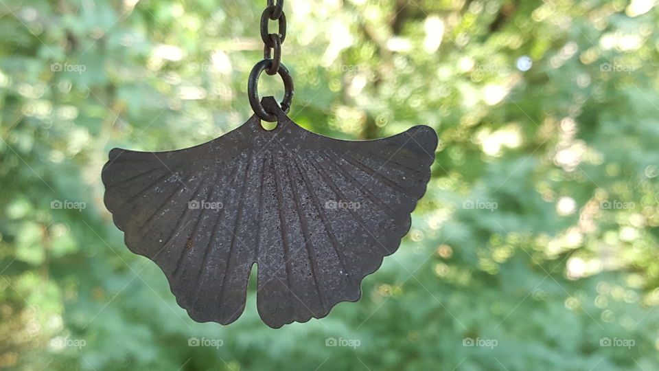 gingko in metal
