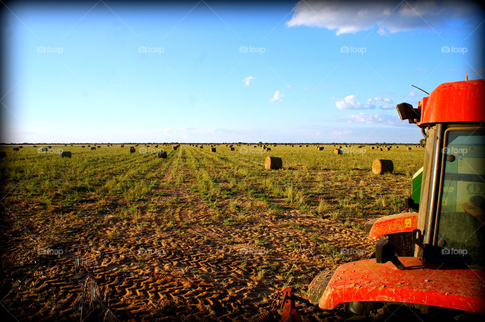 Beautiful farming and baling scene in South Africa