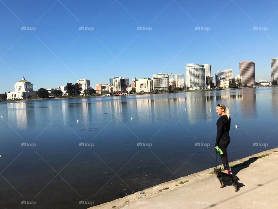 Dog walking on Lake Merritt