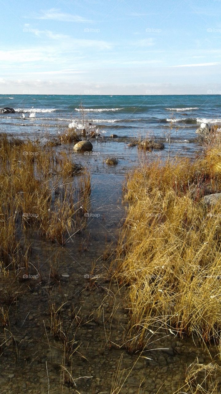 Northern Michigan 