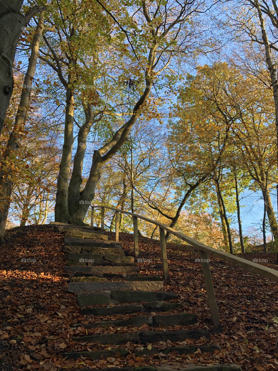 Autumn stair in autumn colors and leafs