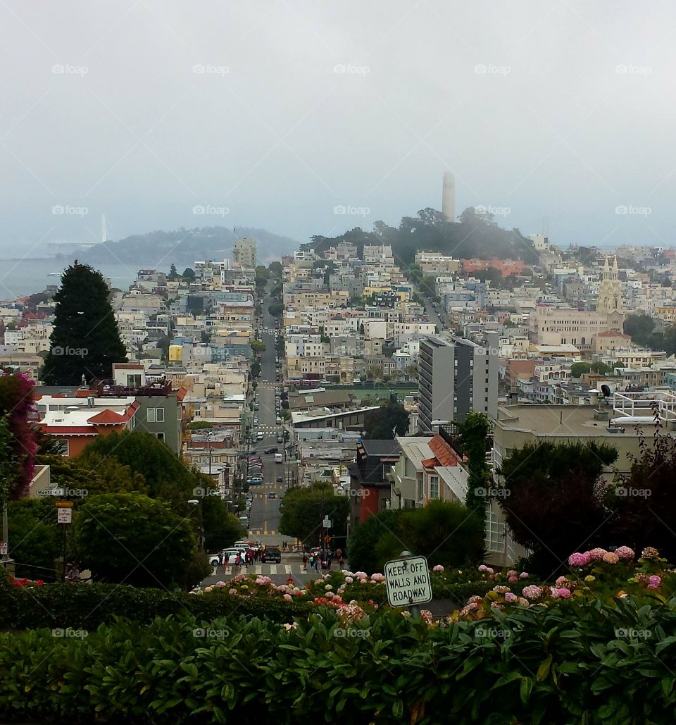 A San Francisco View