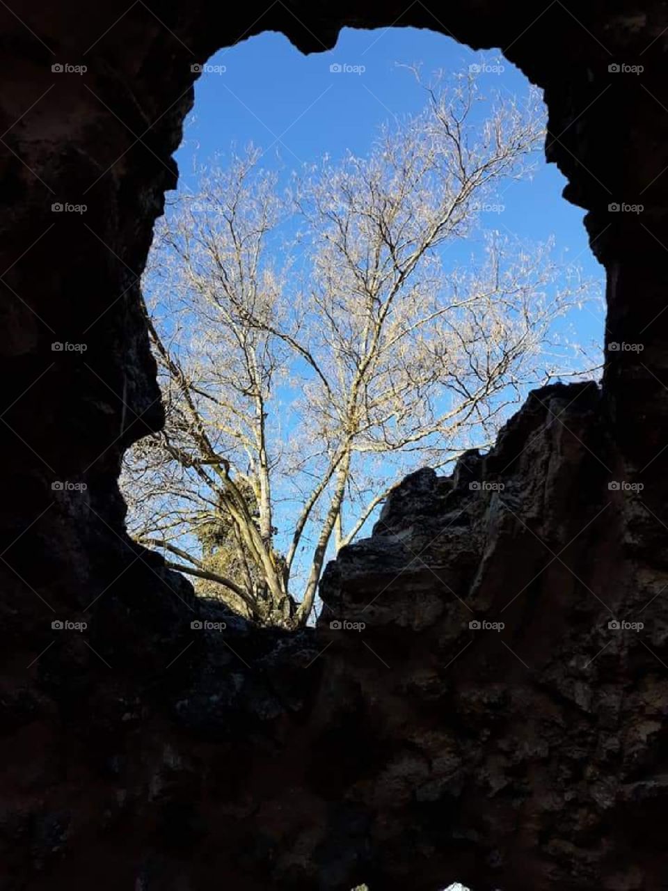 Window through a rock formation.
Tree and blue sky are visible through nature's window.