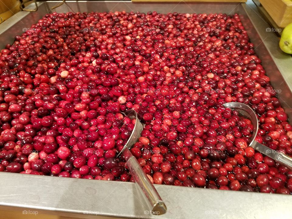 Food, Berry, Fruit, Cranberry, No Person