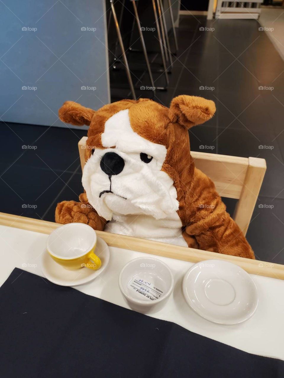 Coffee time with cute dog