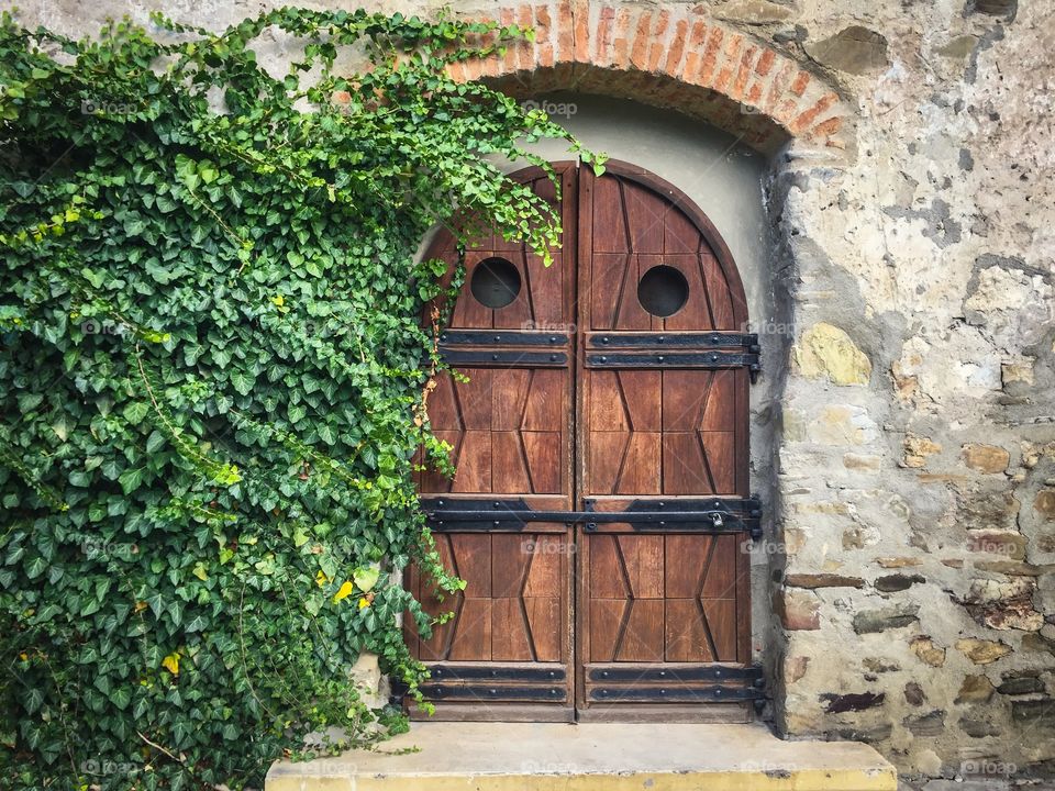 Old wooden door on a stone building with poison ivy