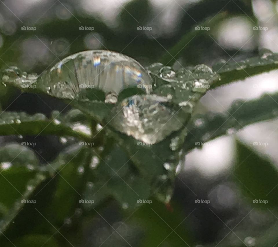 Raindrop reflections 