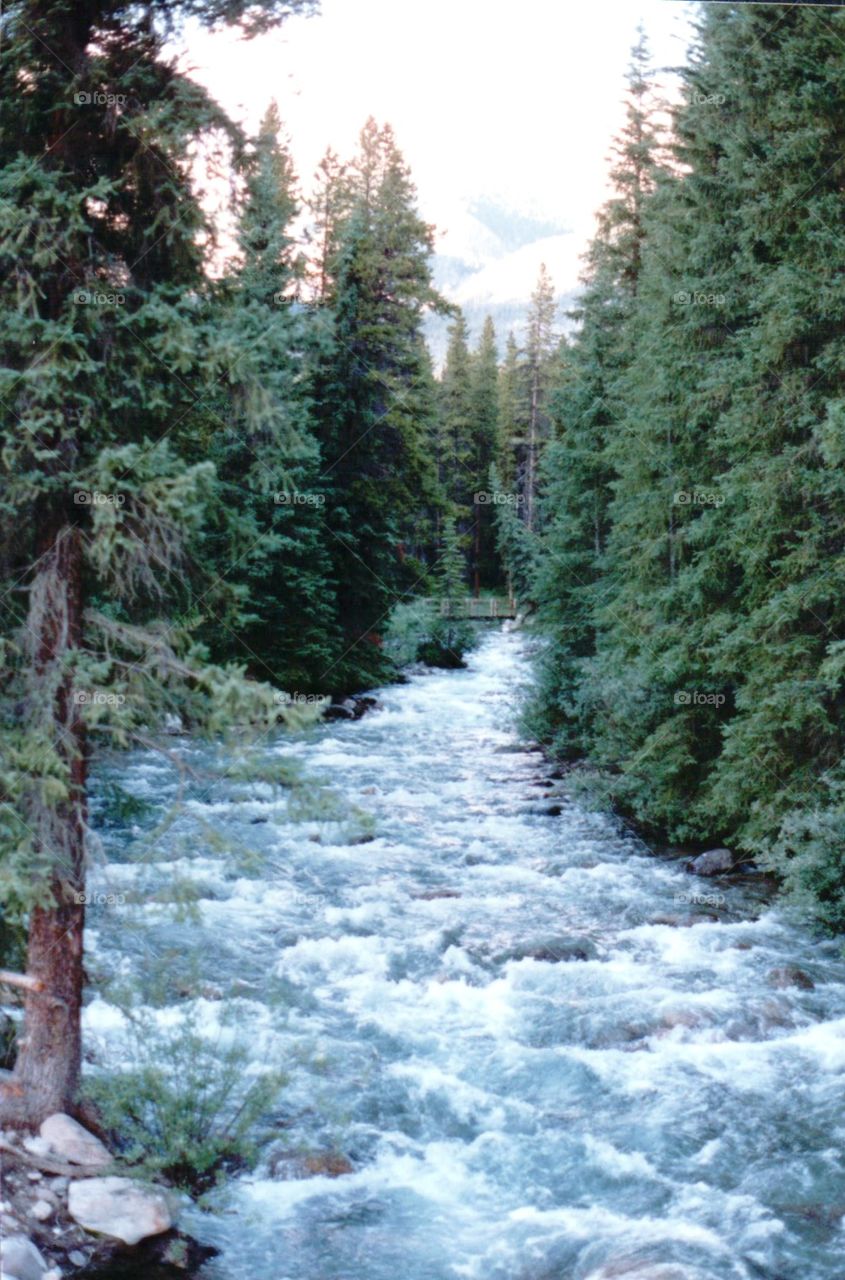 Canadian Rockies