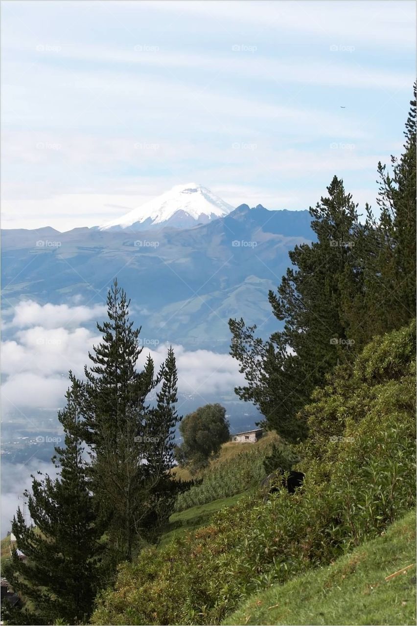 Cotopaxi 