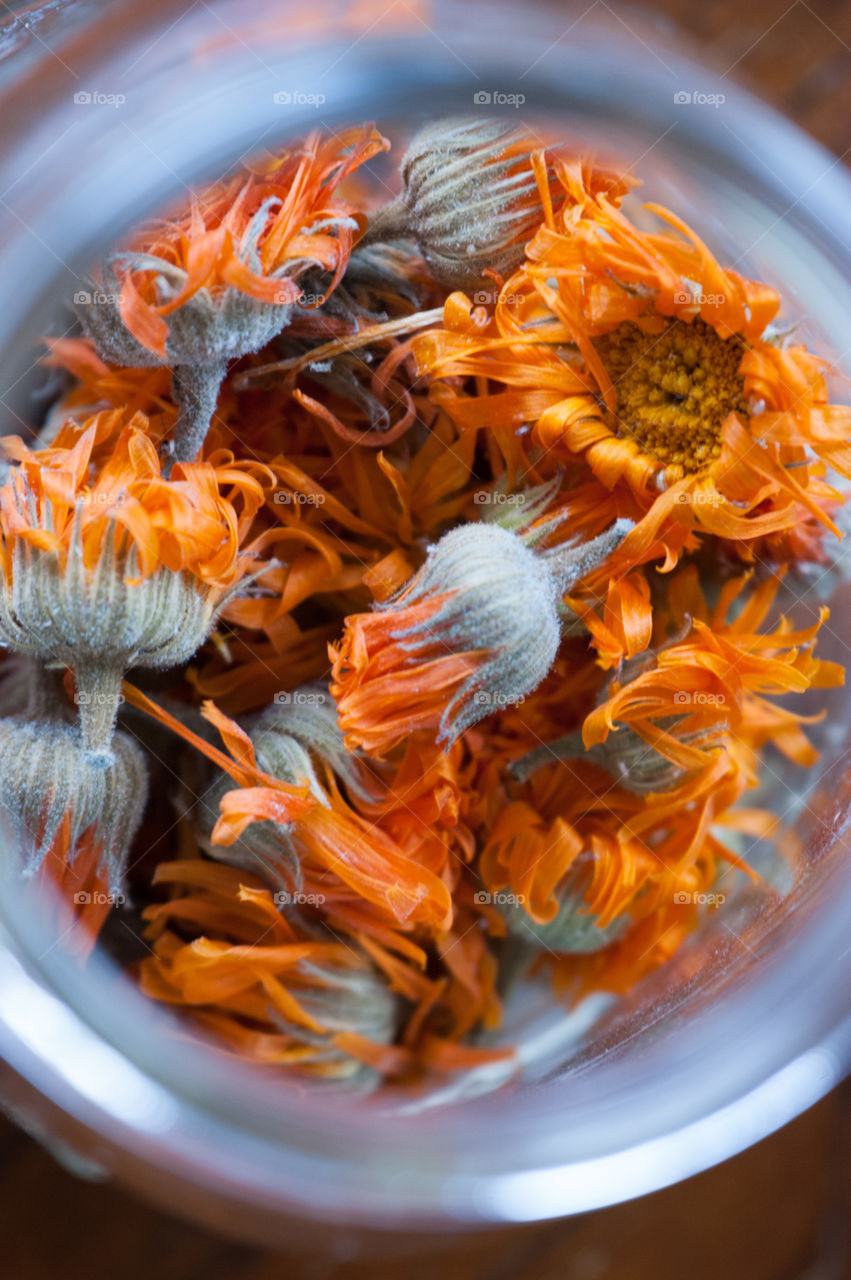 Dried Calendula