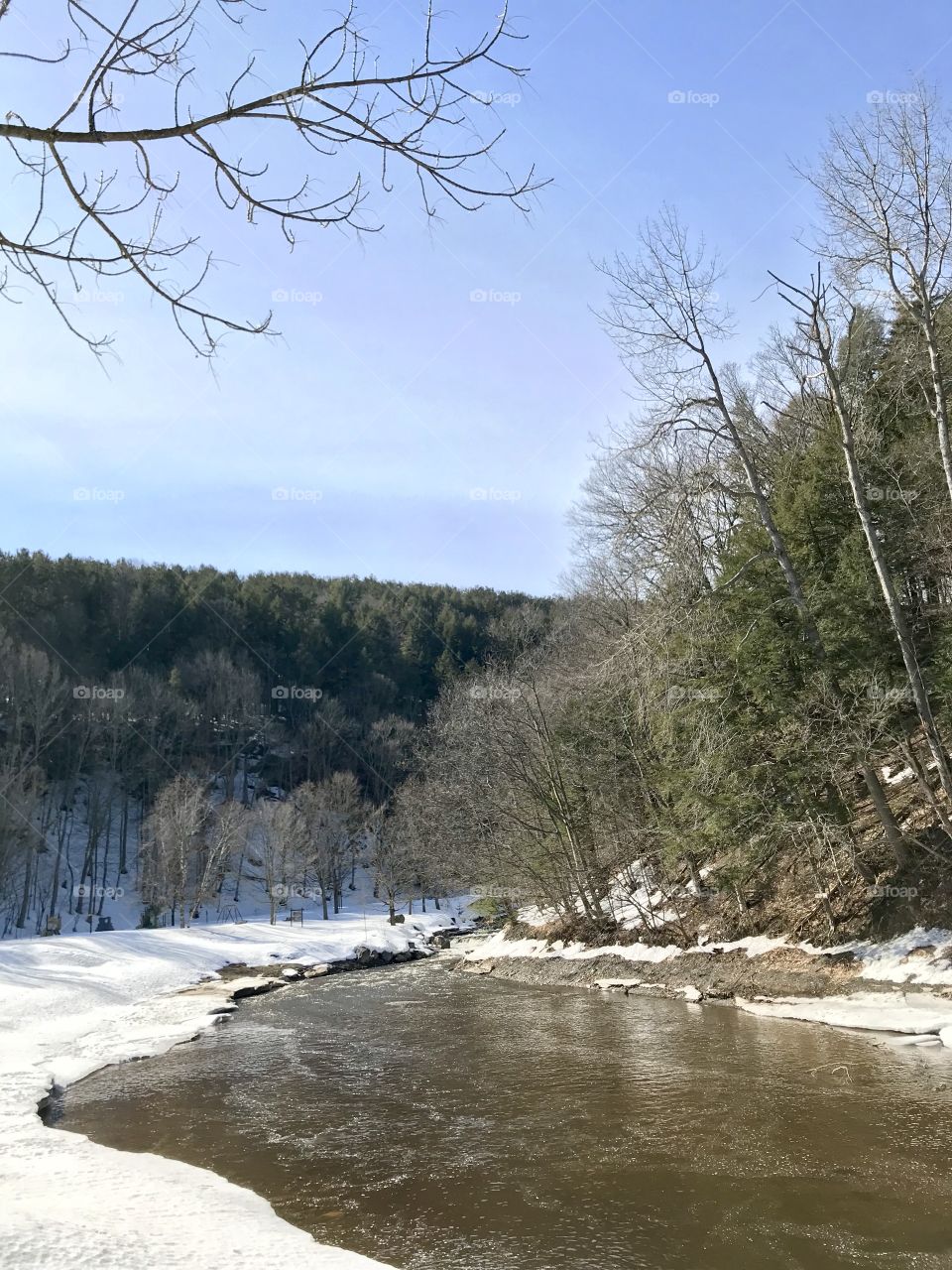 Whetstone Creek from viewing area