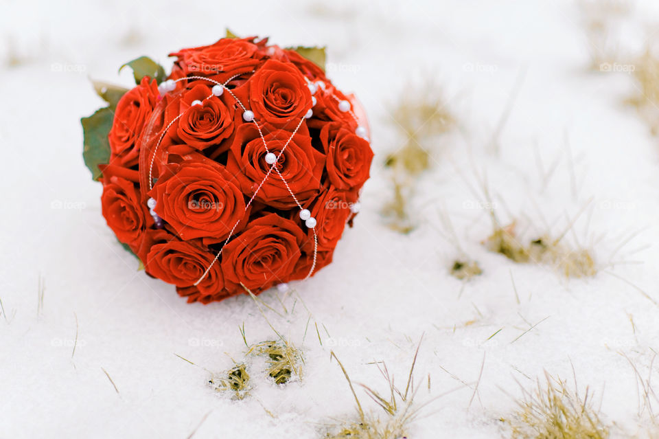 Close-up of flower bouquet