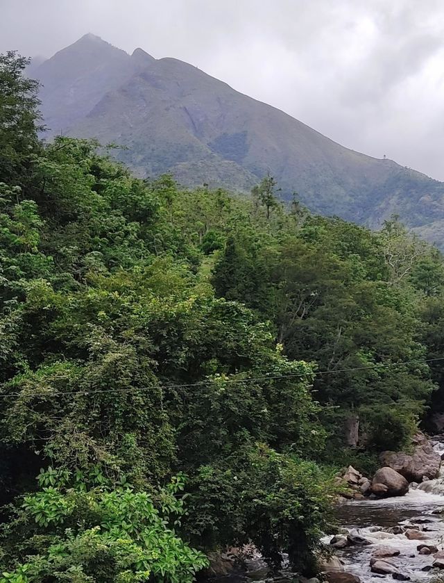 mountain