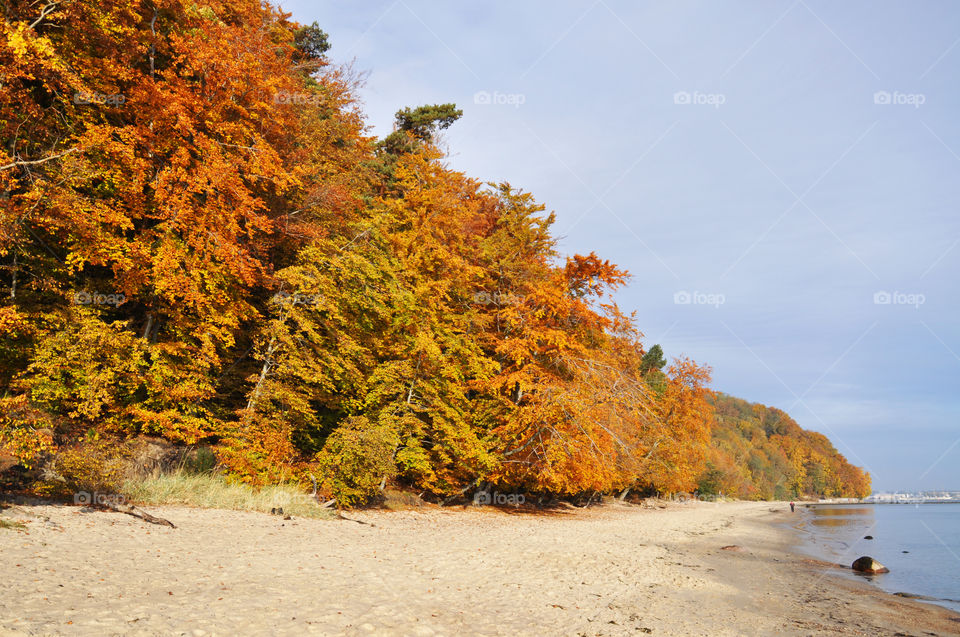 Autumn beach view 