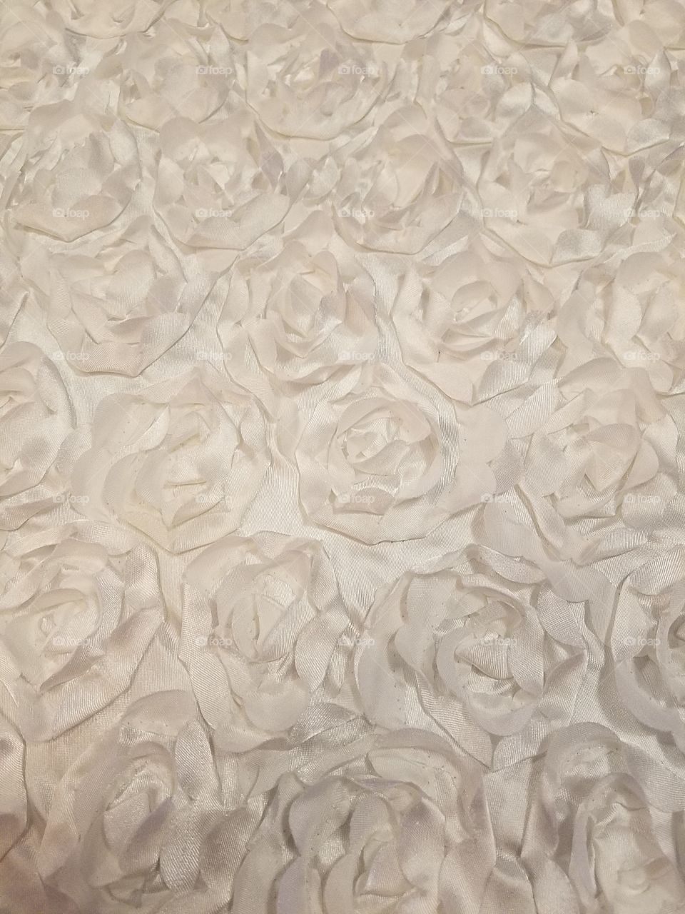 A tablecloth with a rose pattern
