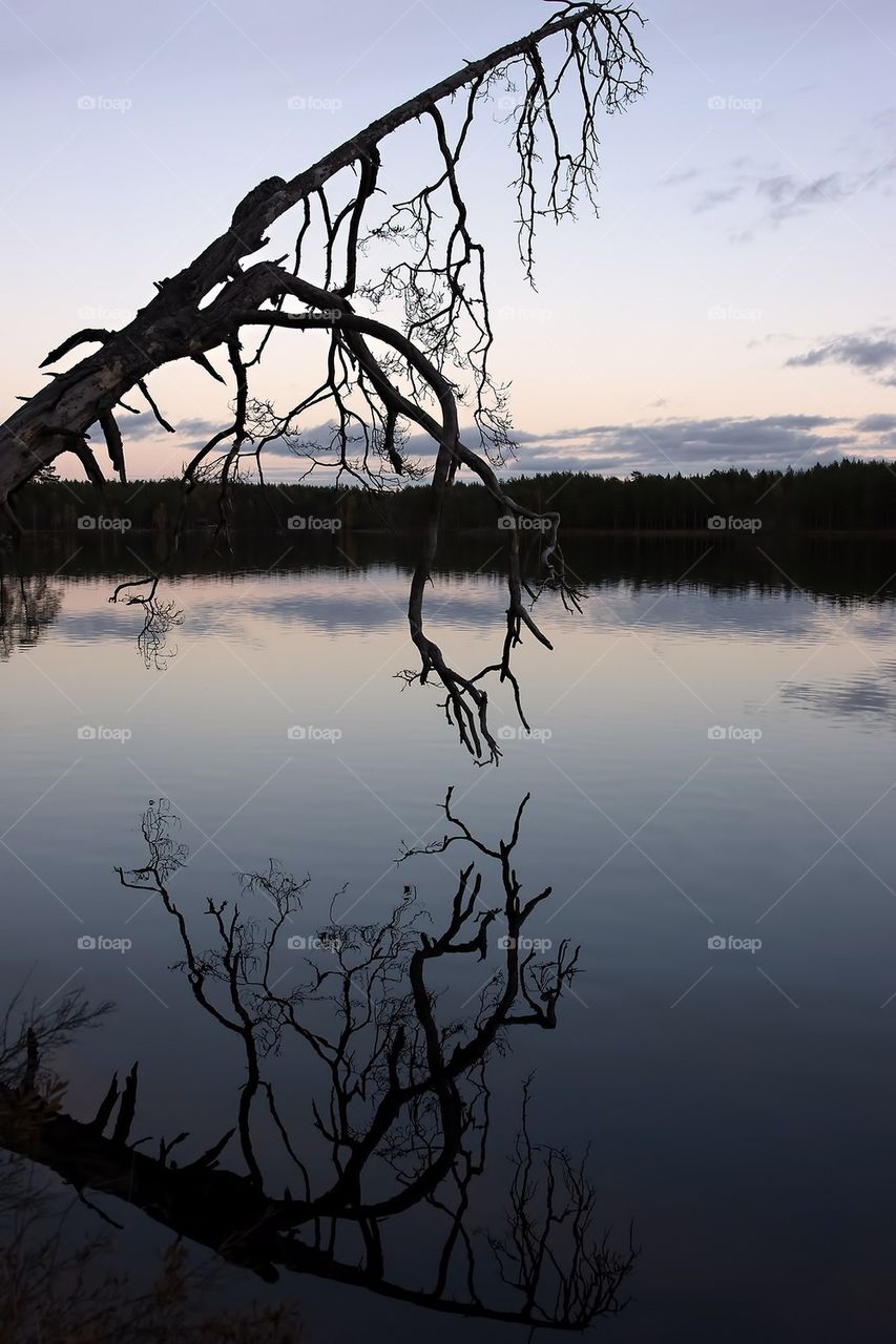 Nävsjön Näverkvarn Sweden