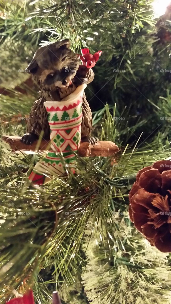 Raccoon Surprises. One of my "oldie but goodie" Christmas ornaments