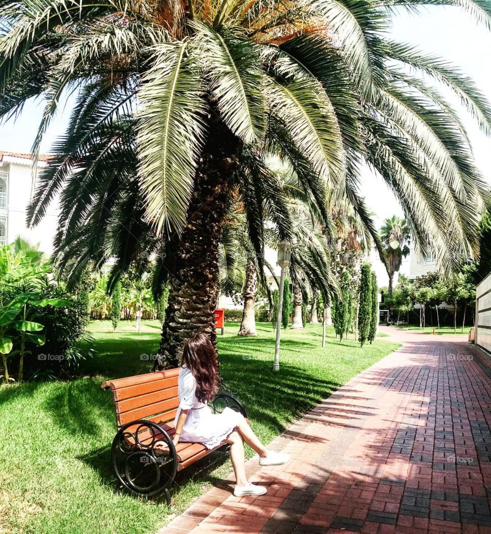 Life is betterwith palm trees.