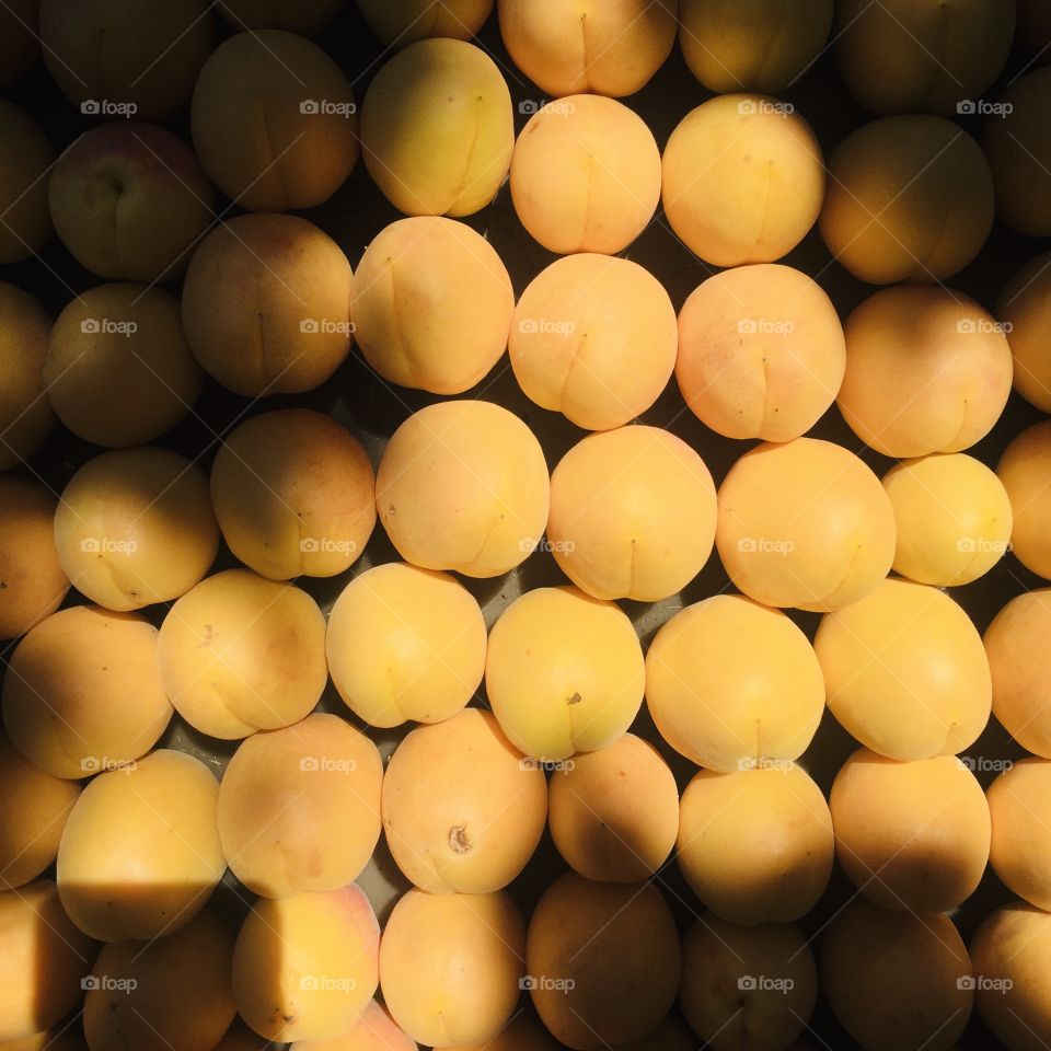 Apricots Geometry 