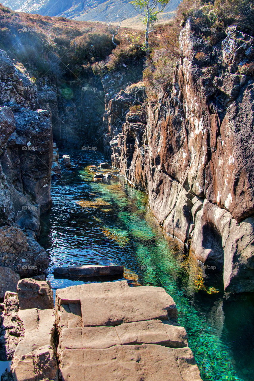 View of a stream