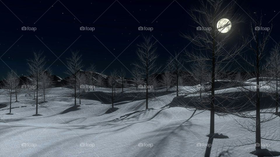 the beautiful night scene