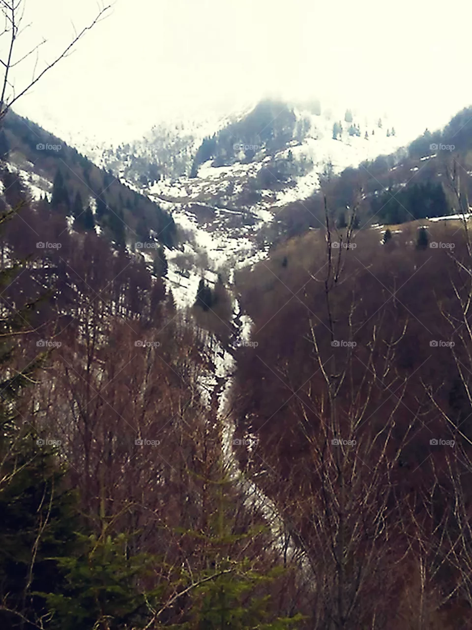 valle