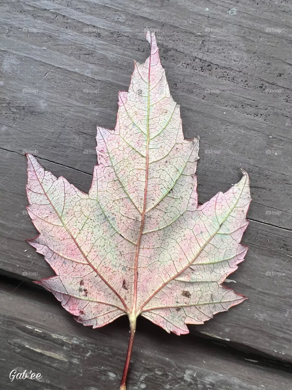 Fall in love 🍁