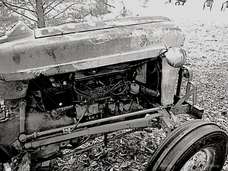 Old Ford tractor, still runs 