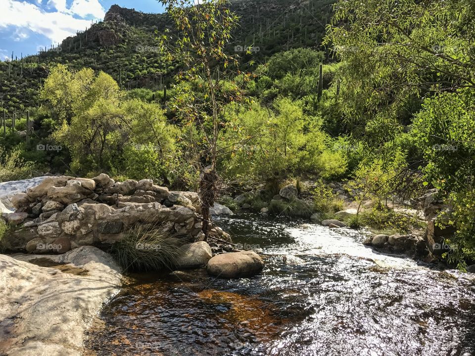 Nature Mountain Landscape - Sabino Canyon in Tucson, Arizona 