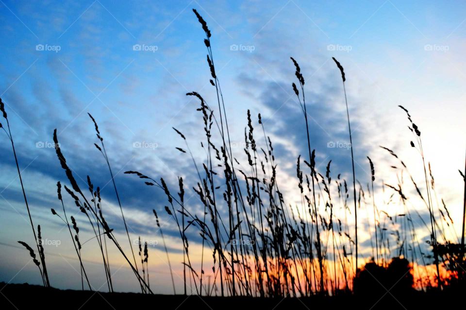 Burning sunset in the countryside