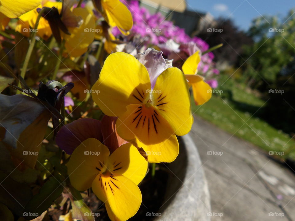 Trying out different angles