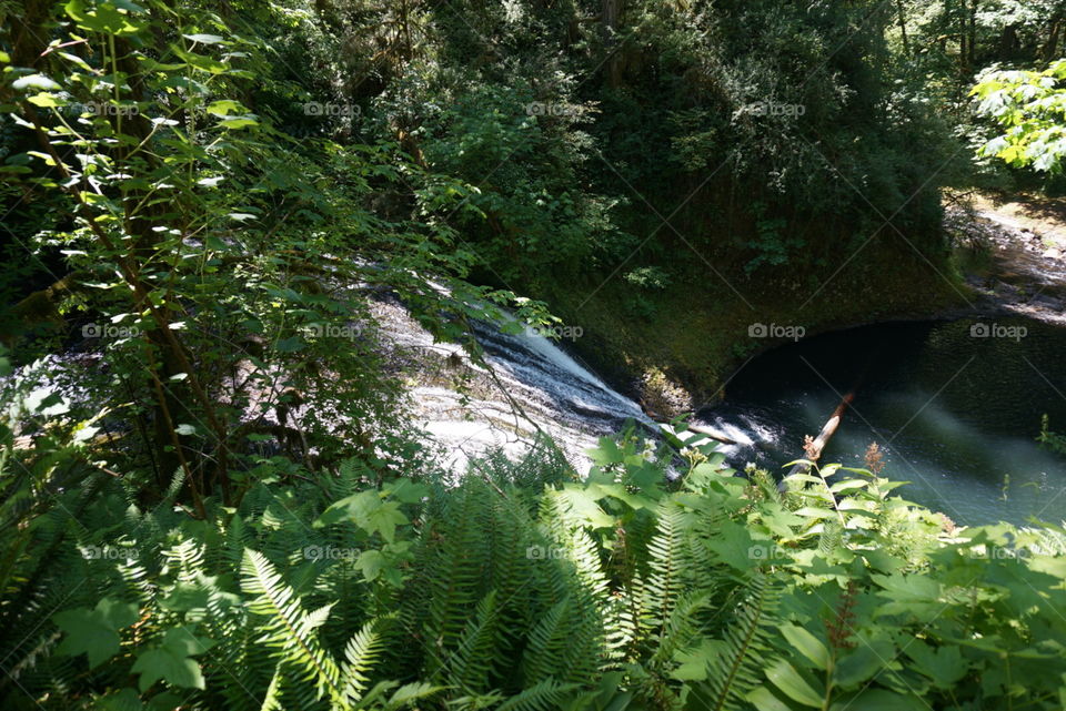 Waterfall. Silver creek falls