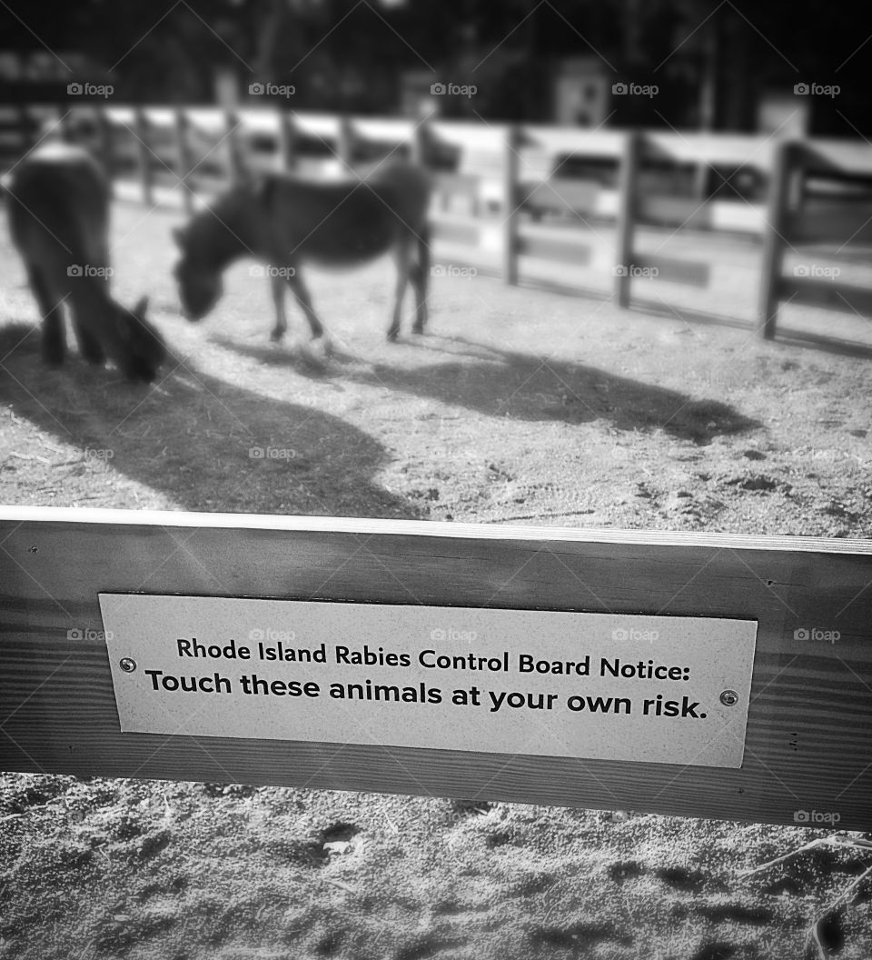 Risk. Disclaimer at the petting zoo