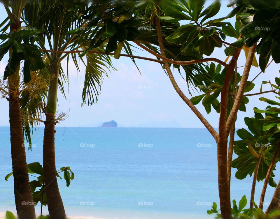 Let the Vacation begin.