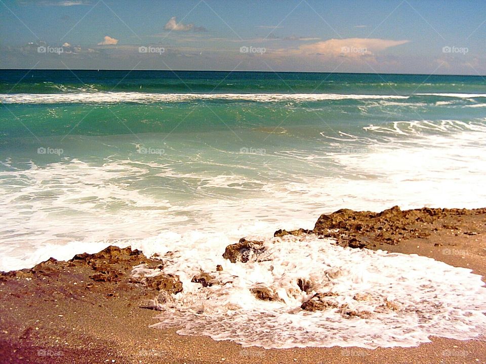 Jupiter blowing rocks preserve . Jupiter's Blowing Rocks Preserve Florida 