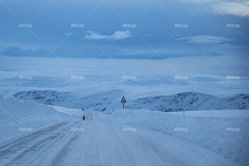 Lonely in the snow